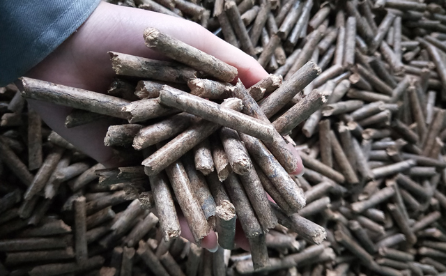 鋸末顆粒機(jī)顆粒，一種快速增長(zhǎng)的能源載體