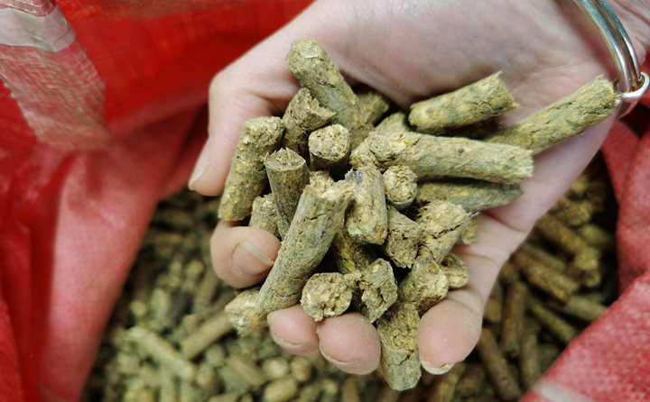 樹皮顆粒機顆粒燃料 樹皮顆粒機顆粒燃料