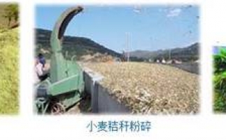 農(nóng)民科學(xué)發(fā)展新思路，秸稈綜合利用成為賺錢好門路之秸稈顆粒機