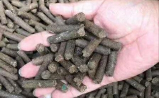 水果渣越來越受歡迎，因為它的出現(xiàn)—生物質(zhì)顆粒機設備