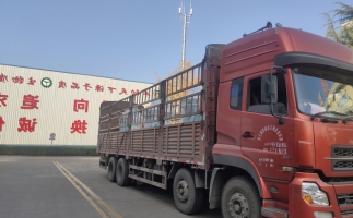 忙碌的五月，忙碌的發(fā)貨，金格瑞顆粒機(jī)生產(chǎn)線發(fā)往全國(guó)各地