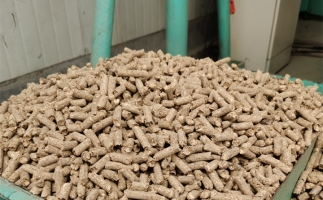 在燃燒時，水分大的生物質(zhì)顆粒會出現(xiàn)哪些問題？