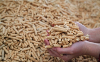 鋸末顆粒機生物質顆粒，你需要知道的常識問題