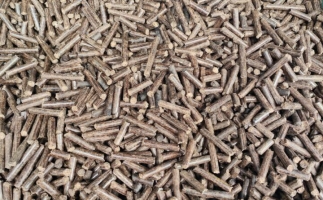 鋸末顆粒機(jī)加工的顆粒燃料價(jià)格主要受哪幾個(gè)方面的影響？