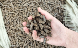 木屑顆粒機將秸稈變廢為寶，降碳節(jié)能一舉兩得