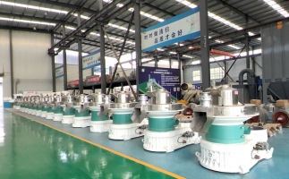 新手開顆粒廠，該選小型還是大型木屑顆粒機(jī)？